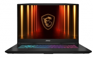 MSI Katana 17 HX B14WGK-048XTR FR13