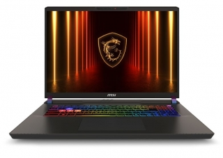 MSI Vector 17 HX AI A2XWJG-079TR