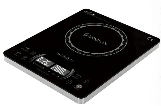 Minisan ALP220