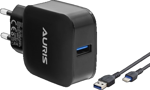 Auris ARS-CH10