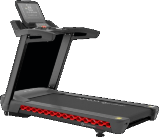 Profitness Falcon