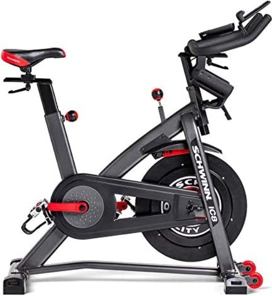 Schwinn 800IC