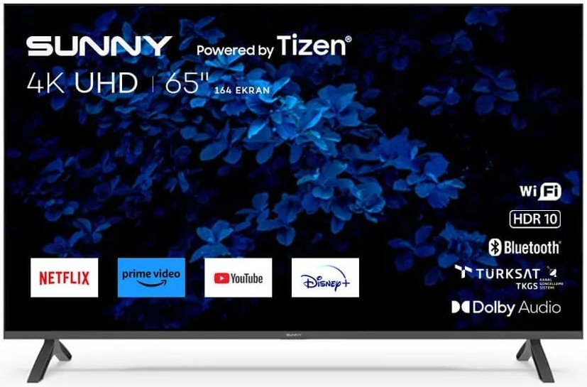 Sunny SN65FMN510