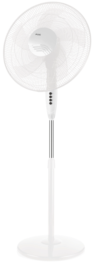 King KV1618 Alabora