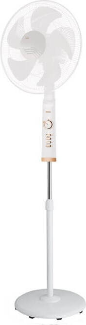Raks SF16 Anka
