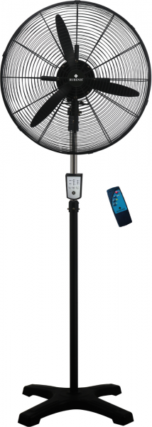 Rubenis RBS-600