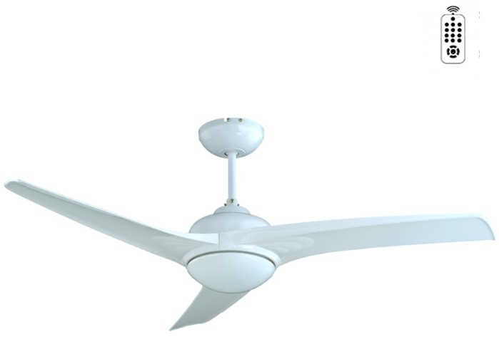 Taflan D52036
