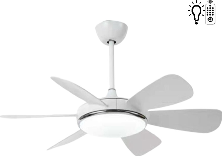 Taflan F6661