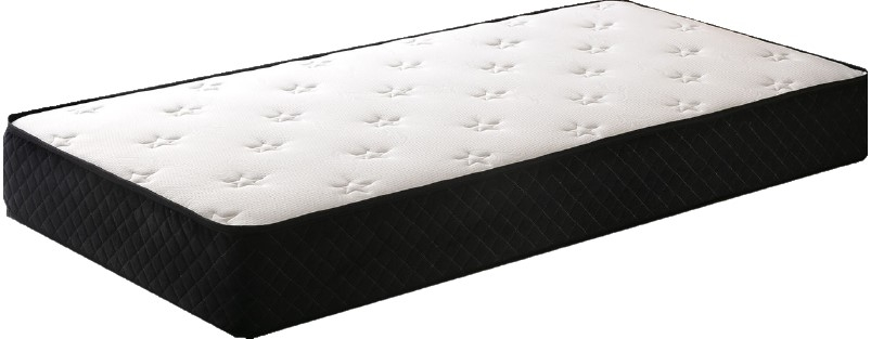P.C Parrot Black Elite 140x190 cm