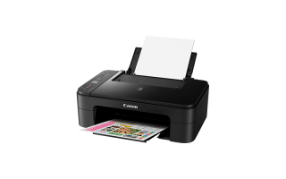 Canon Pixma TS3150 - 3