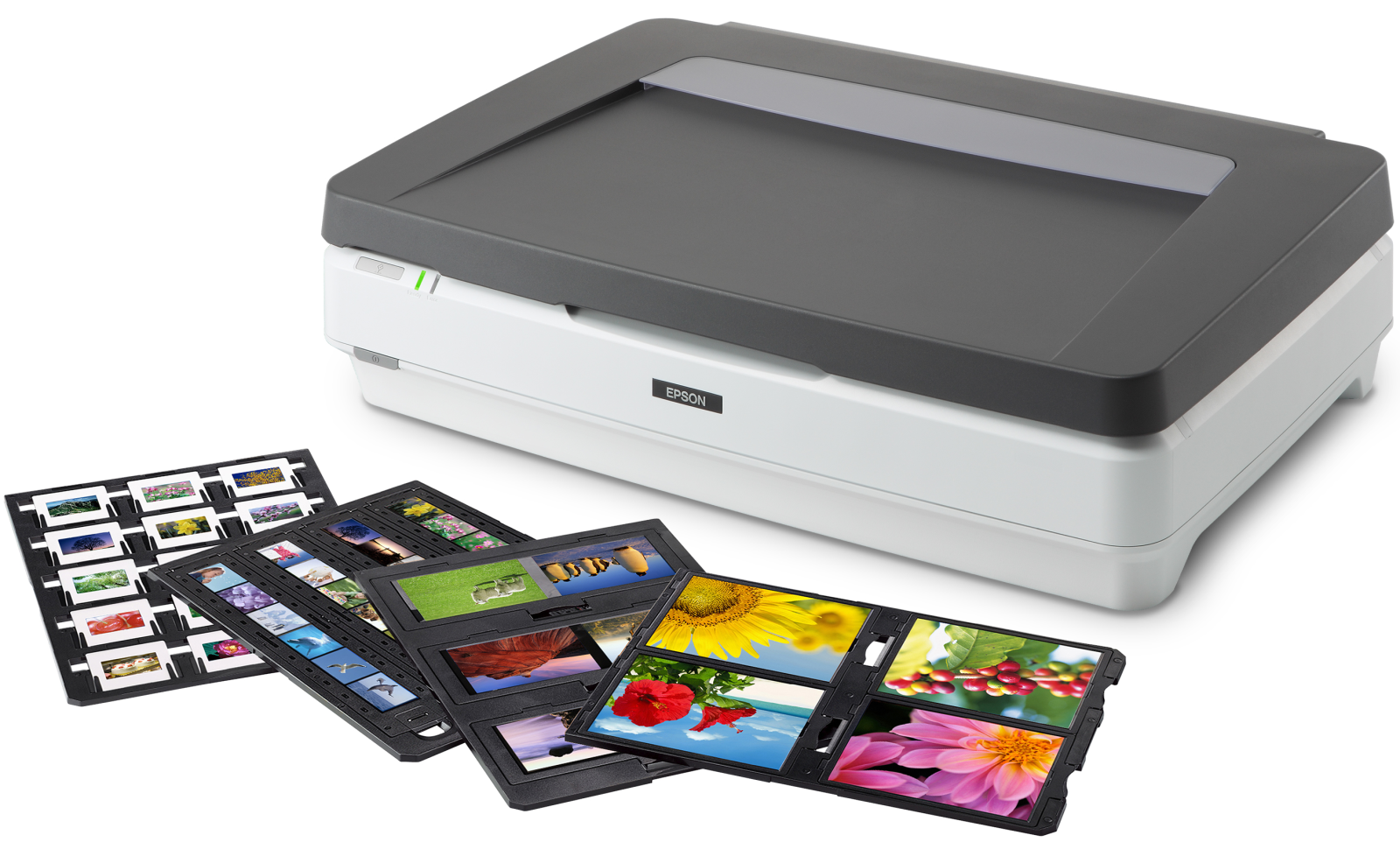 Epson Expression 13000XL Pro